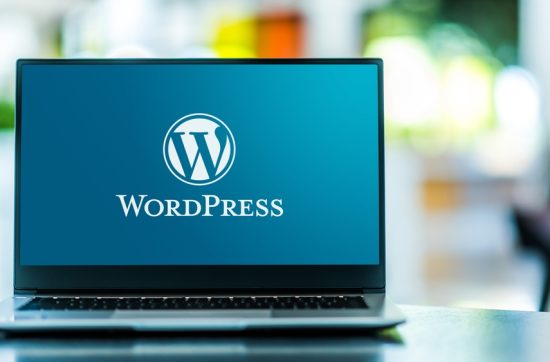 Wordpress pour Débutants - Maitriser WordPress